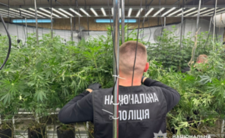 Масштабне вирощування конопель: у Дніпрі чоловік облаштував ангар під нарколабораторію