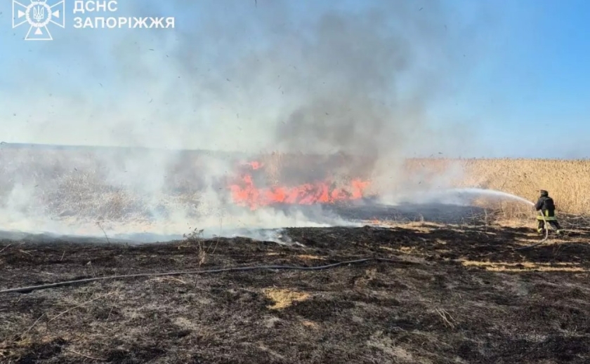 За минулу добу на території Запорізької області ліквідували 5 пожеж в екосистемах