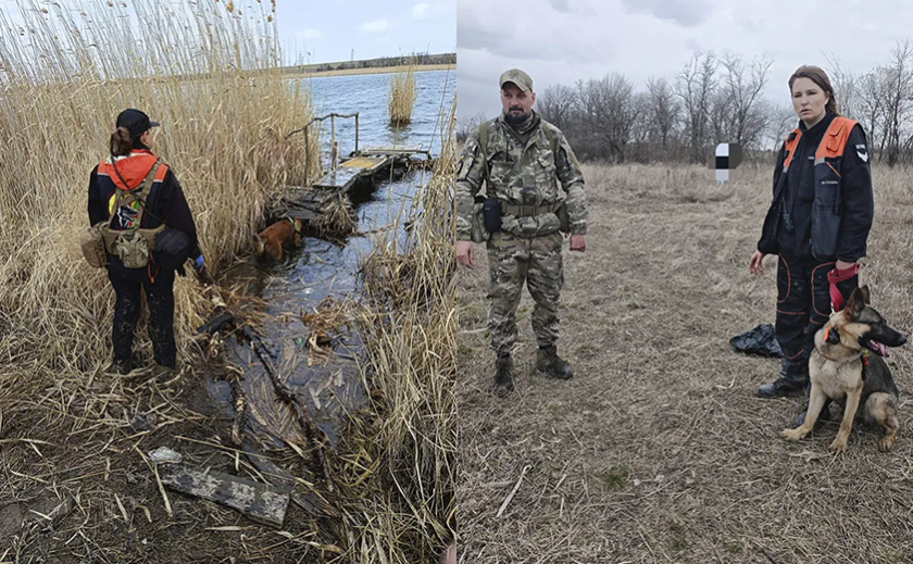 На Дніпропетровщині волонтери кінологічного загону «Антарєс» розшукали тіло зниклої 20-річної дівчини