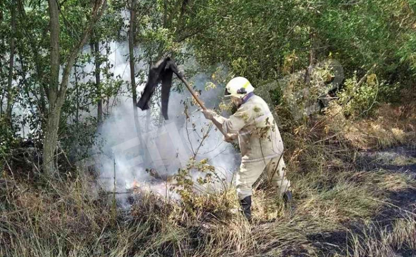 За день на Днепропетровщине четыре раза гасили пожары в экосистемах