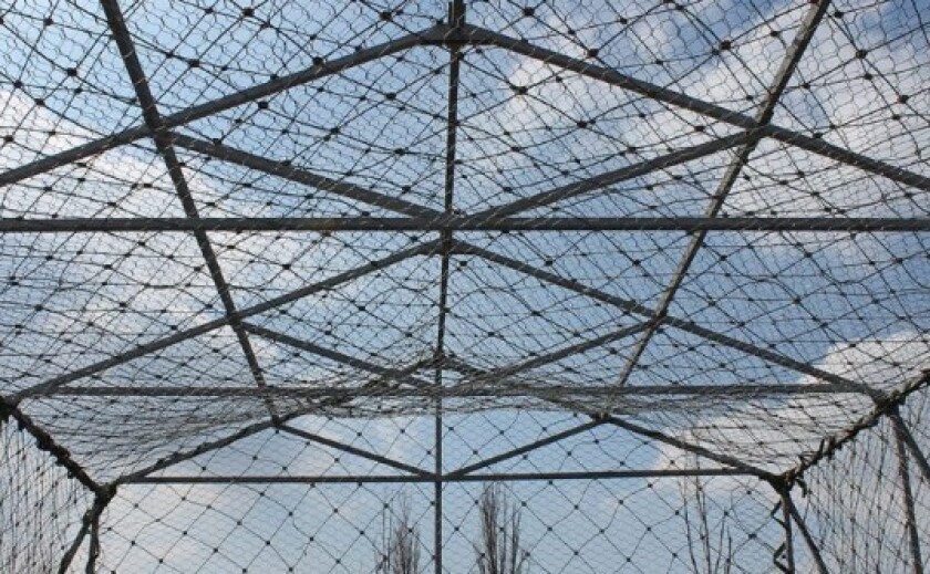 На Дніпропетровщині вже 150 км доріг накрили антидроновими сітками