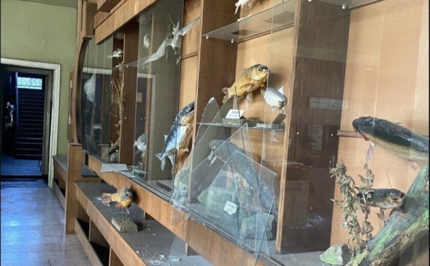 Пошкоджений російським ударом «Акваріум» у Дніпрі оголосив збір коштів на відновлення