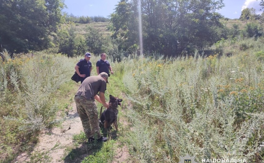 На Дніпропетровщині службові собаки відпрацювали пошук людей під завалами