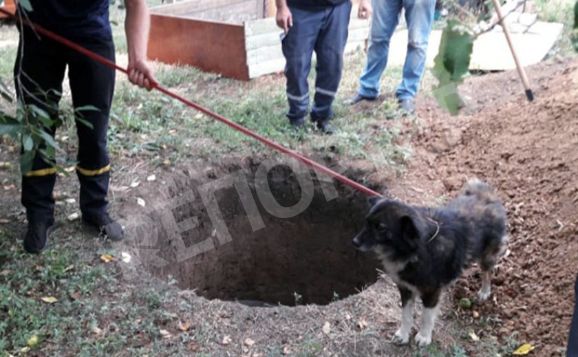 На Днепропетровщине спасли собачку из выгребной ямы На Днепропетровщине спасли собачку из выгребной ямы