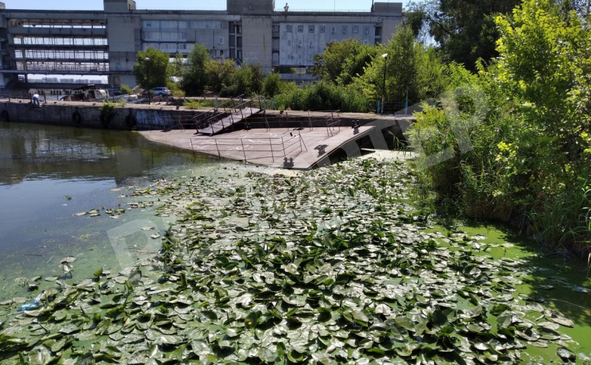 Днепровский речпорт превратился в болото