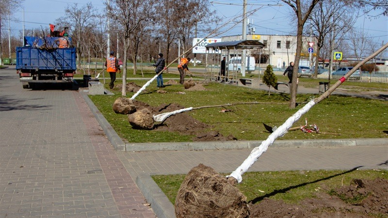 Днепр обещают утопить в зелени ФОТО
