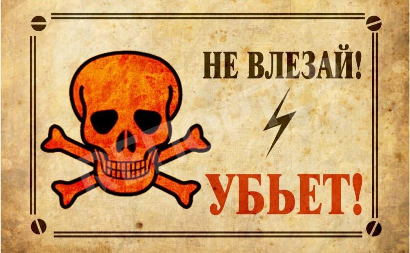 На Монастырском острове проросла урбанистическая лиана
