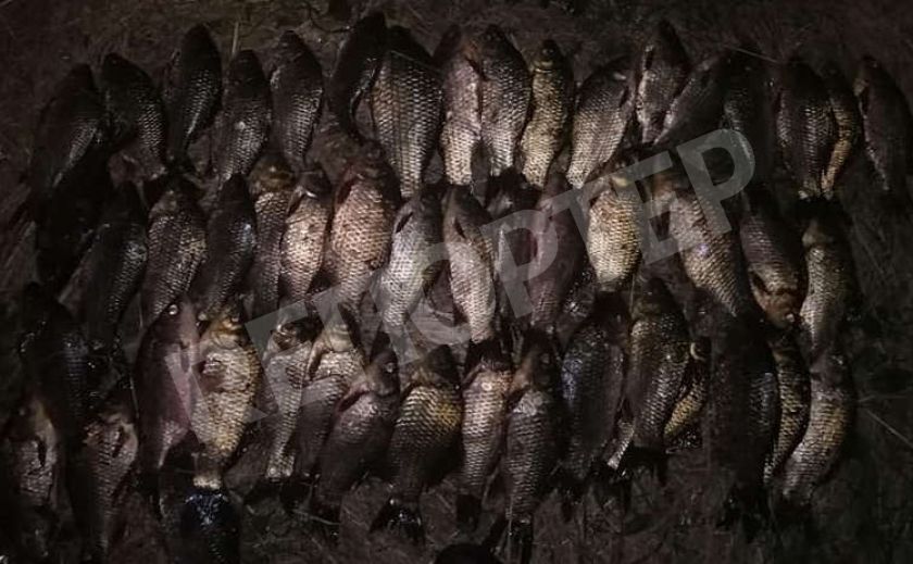 Под Днепром задержали браконьера с горой рыбы