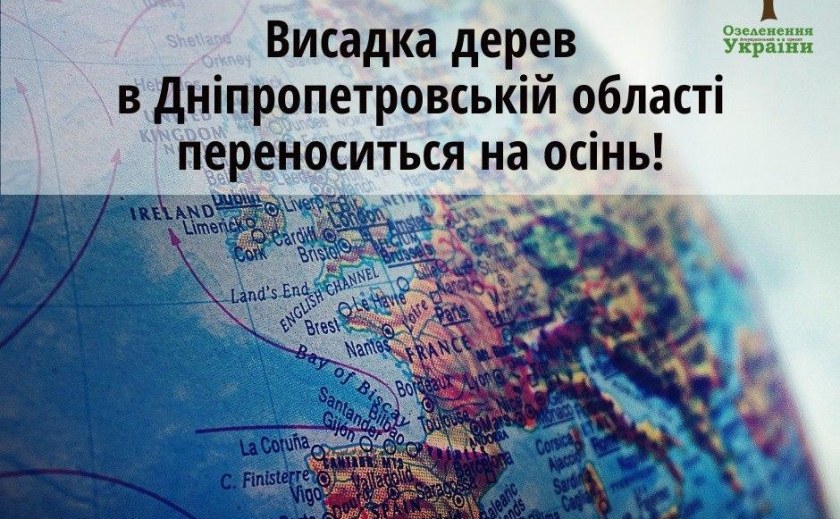 В Днепре не досчитались миллиона деревьев