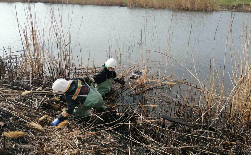 На Днепропетровщине патрульный обнаружил утопленницу ФОТО