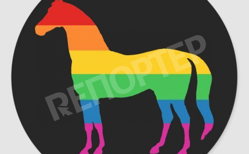 Лошади vs ЛГБТ. Такая разная любовь...