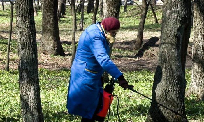 В Павлограде - новая угроза: горожан просят три дня не ходить в парки