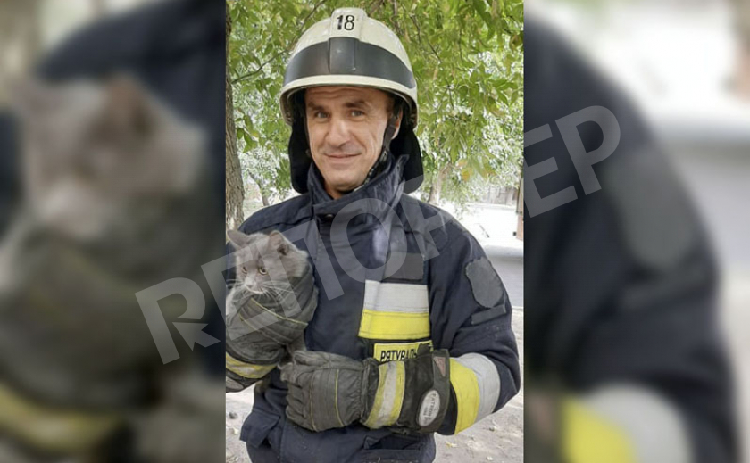 Пятеро днепровских бойцов спасли котейко