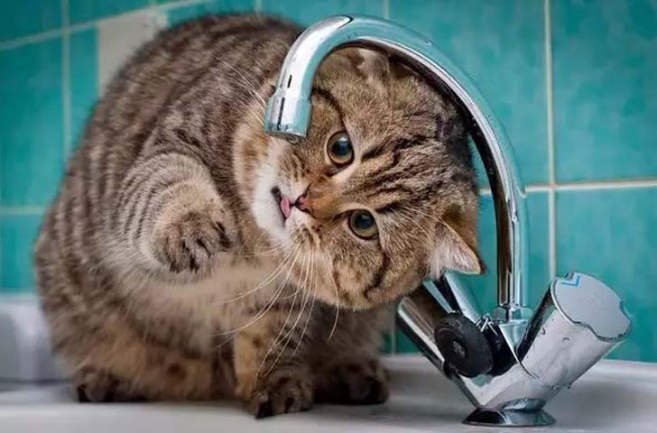 В Днепре отключат водоснабжение на нескольких улицах АДРЕСА