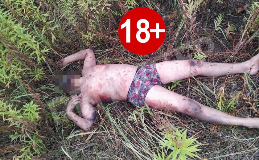 Днепрянин пошёл за грибами, а нашёл труп 18+