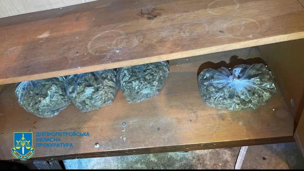 Задержание наркодилеров марихуаны что нужно сделать чтобы тест на марихуану не показал