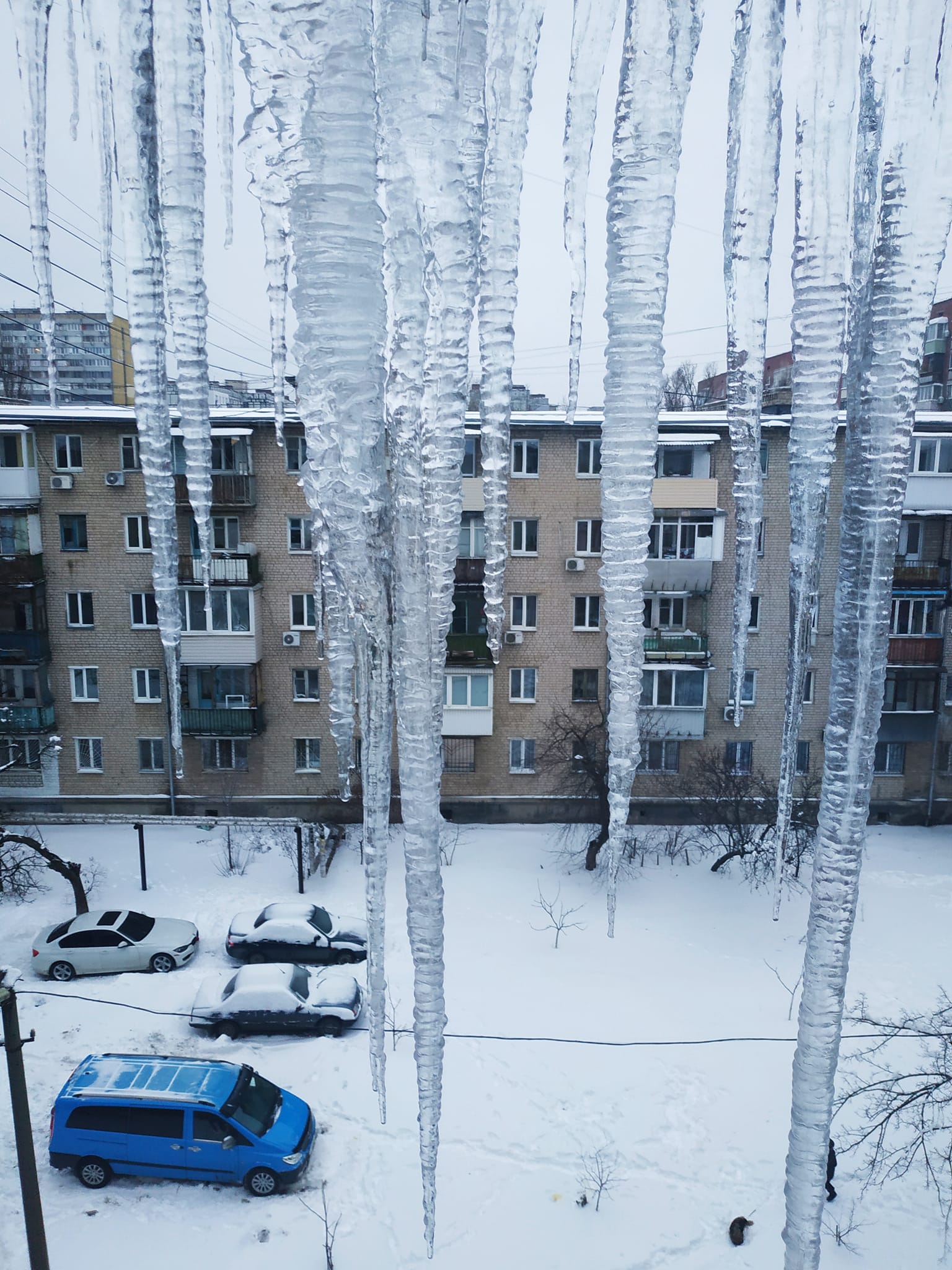 В Днепре горожанам угрожают сосульки на крышах домов: «тотально  работоспособный коллектив» бездействует | Репортер